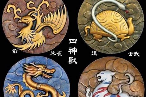 北朱雀南玄武|玄武（中国古代神话中的四大神兽之一）